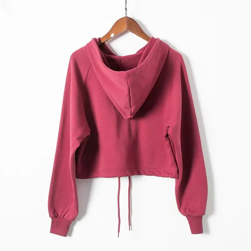 2018 Chic Crop Hoodie in Hip-Hop Style